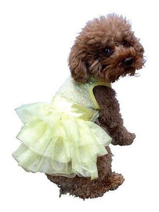 Posh Pet Glamour Boutique, Designer Dog Clothes & Luxury Dog Boutique