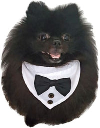Thumbnail for Tuxedo Dog Collar
