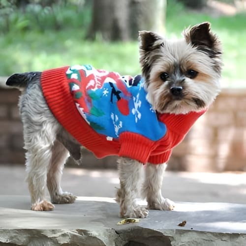 Ugly Snowman Holiday Dog Sweater