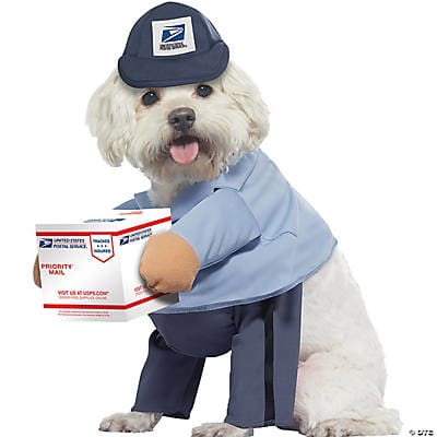 U.S. Mail Carrier Costume