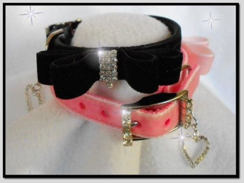 Velvet Bow Tie Dog Collar