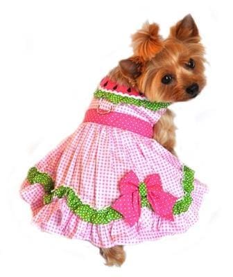 Watermelon Velcro Dog Dress