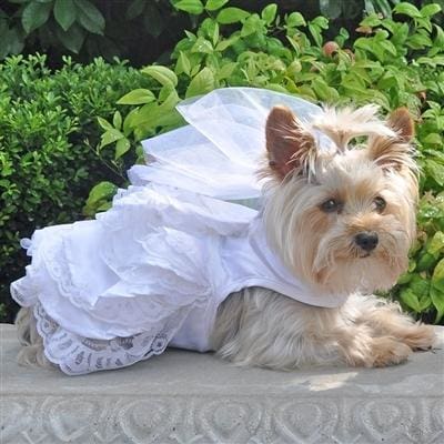 Dog Wedding Dress - Satin & Layered Lace