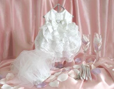 Dog Wedding Dress - Satin & Layered Lace