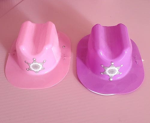 Western Cowgirl Dog Hat