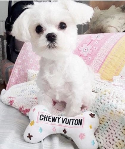 White Vuiton Dog Bone Toy