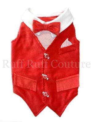 Winter Wonderland Dog Vest