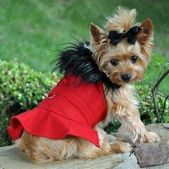 Wool Fur-Trimmed Harness Dog Coat - Red