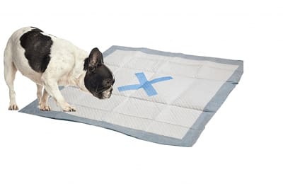 X Marks The Spot Puppy Pads 100pk